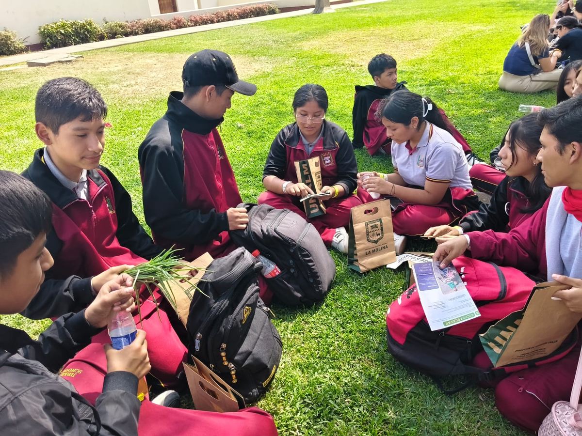 Estudiantes de Jireh trabajando en grupo